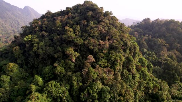 Vue a&eacute;rienne du parc forestier et montagneux naturel &agrave; Ninh Binh au Vietnam, for&ecirc;t tropicale verdoyante et paysage karstique avec rizi&egrave;res et fleuve, tourisme &eacute;cologique et culturel dans la baie d&rsquo;Hal