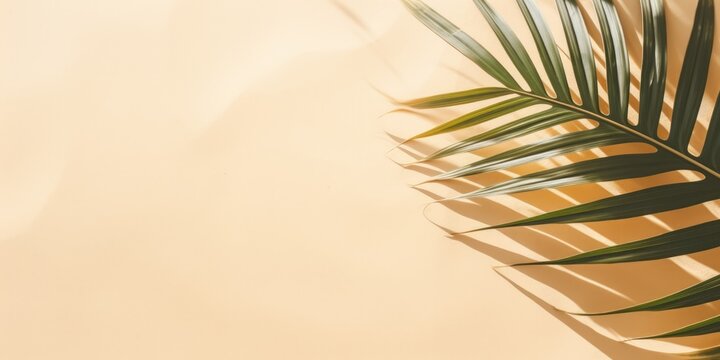 Tropical bright palm leaves on cream background with copy space. Tropical summer concept. Minimal flat lay, generative ai © OP38Studio
