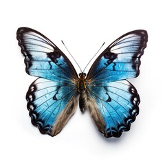Blue Morpho Butterfly on white isolated background, AI generation