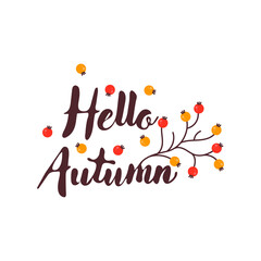 Hello autumn lettering, vector illustration