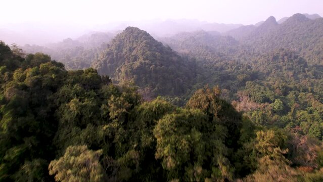 Vue a&eacute;rienne du parc forestier et montagneux naturel &agrave; Ninh Binh au Vietnam, for&ecirc;t tropicale verdoyante et paysage karstique avec rizi&egrave;res et fleuve, tourisme &eacute;cologique et culturel dans la baie d&rsquo;Hal