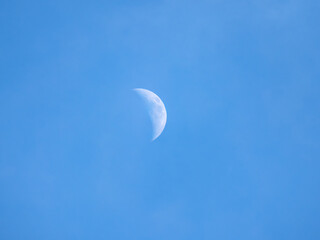 Naklejka na ściany i meble Half moon during daylight. Moon is in the blue sky.