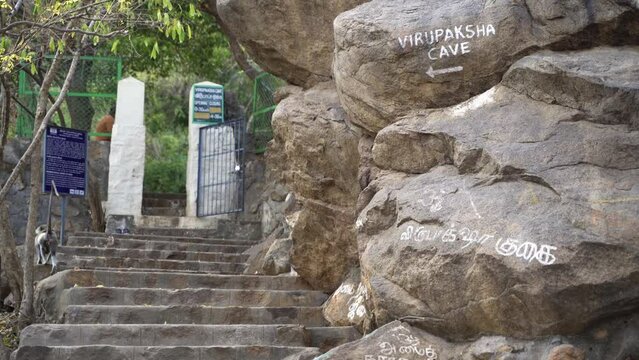 Entrance to Virupaksha cave. Monkey passing by. Text written on rocks