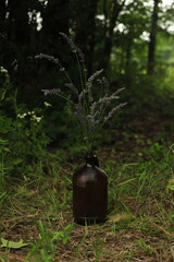 Lavender in a brown jug by the edge of the woods