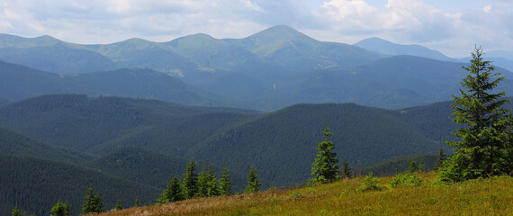 Fototapeta premium Mountain range with a clear blue sky. The mountains are covered in green trees and the foreground has a grassy hill with a few trees.