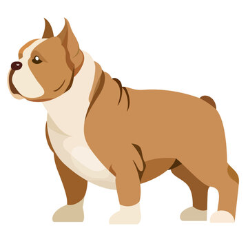 330+ Bully Dog Stock Illustrations, Royalty-Free Vector Graphics & Clip Art  - iStock