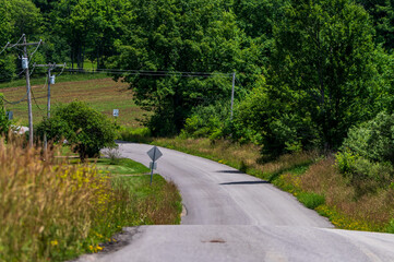 Fototapeta premium A winding road through a rural area in Deerfield Township, Pennsylvania, USA on a sunny summer day