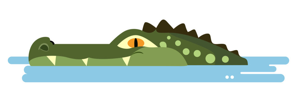 alligator half submerged in water in flat style vector illustration, crocodile head above floating on water flat style stock vector image