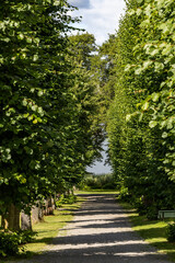 Taxinge, Sweden A tree-lined path leading to the water of Lake Malaren.