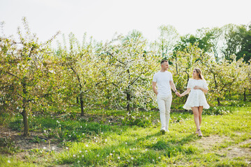 The concept of happy family relationships. A young happy couple in anticipation of pregnancy walks through a blooming garden. Couple in love in blossoming apple trees.