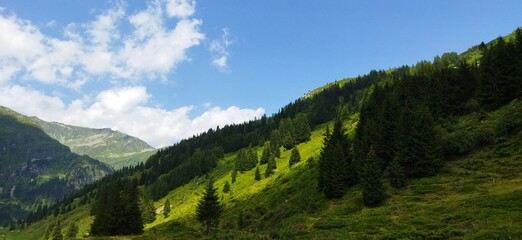 Fototapeta na wymiar The Austrian Alps. Mountain landscape on a cloudy day
