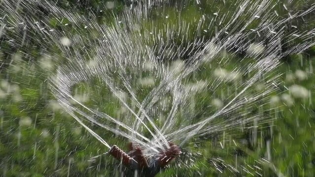 Circular sprinkler for watering the garden in operation