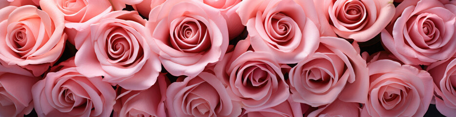 Rose, Best Website Background, Hd Background, Background For Computers Wallpaper