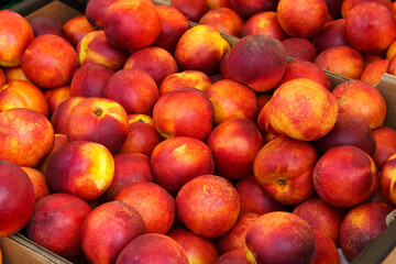 Fototapeta na wymiar Showcase with nectarines. Food market, close-up