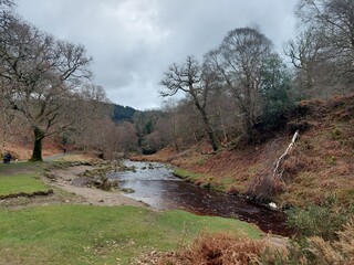 Malham Cove North Yorkshire National Park, England, UK nature landscape with stream and gorge