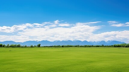 Fototapeta premium Natural landscape with green grass, mountains, and blue sky