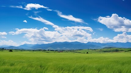 Obraz premium Panoramic natural landscape with green grass, mountains, and blue sky with clouds