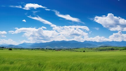 Panoramic natural landscape with green grass, mountains, and blue sky with clouds