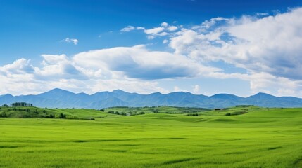 Panoramic natural landscape with green grass, mountains, and blue sky