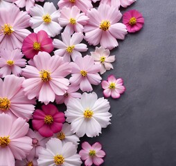 Obraz na płótnie Canvas pink and white flowers on black, with copyspace