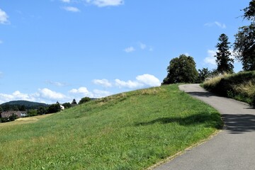 Fototapeta na wymiar paved narrow road on a hillside near the city of winterthur switzerland