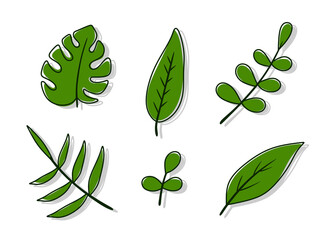 Simple illustration design of green leaves set