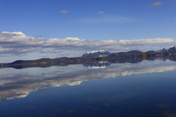 Mývatn is a shallow lake located in an area of active volcanism in northern Iceland, near the...