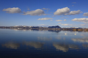 Mývatn is a shallow lake located in an area of active volcanism in northern Iceland, near the Krafla volcano