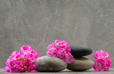 Obraz na płótnie Canvas pink flowers and stones for podium background