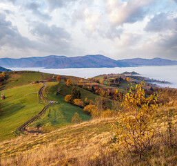 Morning foggy clouds in autumn mountain countryside.  Ukraine, Carpathian Mountains, Transcarpathia. Peaceful picturesque traveling, seasonal, nature and countryside beauty concept scene.