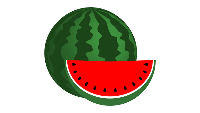 Vector watermelon illustration. Icon 