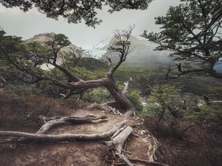 Patagonia