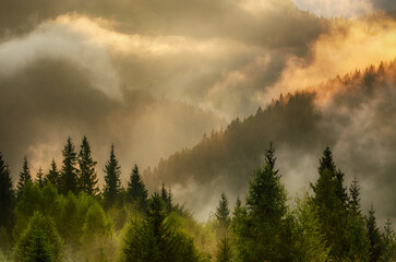 Misty mountain landscape