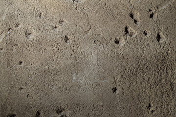 Solid concrete wall textured backdrop