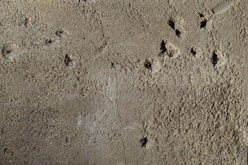 Solid concrete wall textured backdrop