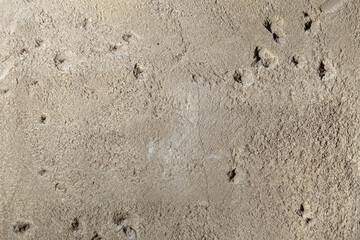 Solid concrete wall textured backdrop