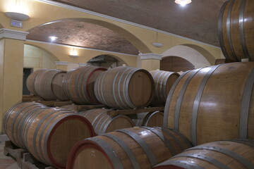 wine barrels in cellar