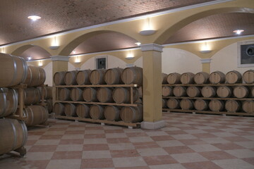wine barrels in cellar