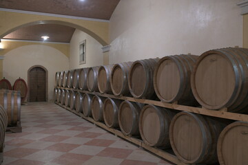 wine barrels in cellar