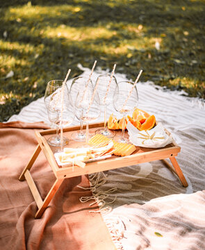 Picnic party with cheese and coctails