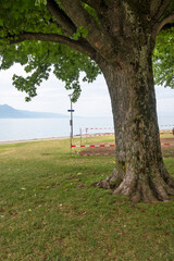Fototapeta premium Landscape from town of Vevey to Lake Geneva, Switzerland