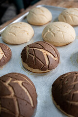Conchas mexicanas de chocolate y vainilla reci?n hechas sobre la bandeja del horno