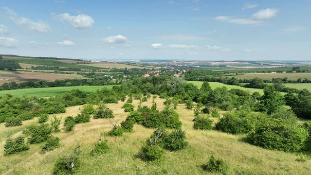 Juniper meadow orchids and old fruit trees, village blue sky and clouds, mountain virgin untouched nature UNESCO biosphere reservation Bile Karpaty White Carpathians, monument natural Drahy botany