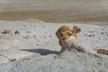 Stone remnant on the chalk limestone slope of Mount Bokty, mineral remnant in macro