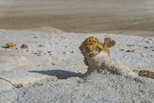 Stone remnant on the chalk limestone slope of Mount Bokty, mineral remnant in macro