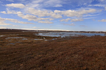 Mývatn is a shallow lake located in an area of active volcanism in northern Iceland, near the...