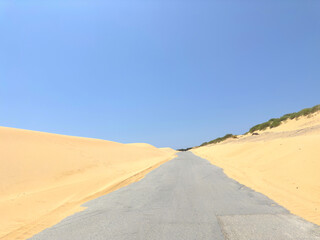 Fototapeta na wymiar view of the road in the middle of a sandy dune landscape that looks like a desert, Duna de Valdevaqueros, Dunes of Valdevaqueros, Tarifa, Costa de la Luz, Cadiz, Andalusia, Spain