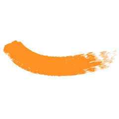 Brush orange vector flat design