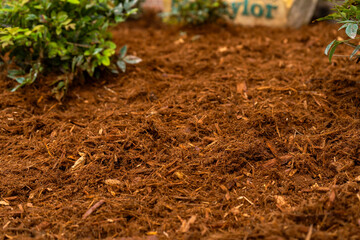 Landscaping Company Tending to A Front Lawn and Flower Bed Cutting Grass and Blowing Debris