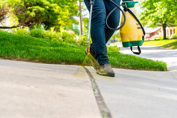 Landscaping Company Tending to A Front Lawn and Flower Bed Cutting Grass and Blowing Debris